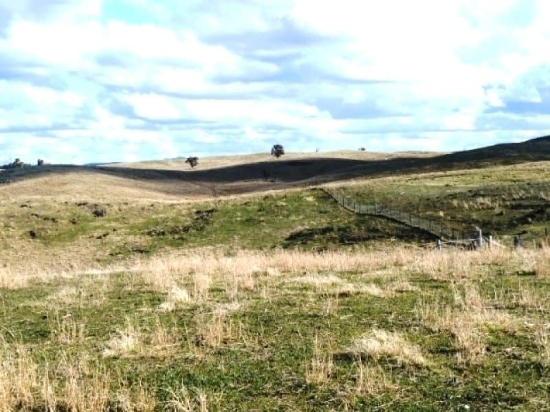 * 171 Shepherds Creek Rd,  Euchareena Via, ORANGE, NSW, Euchareena Via - Thumbnail 3