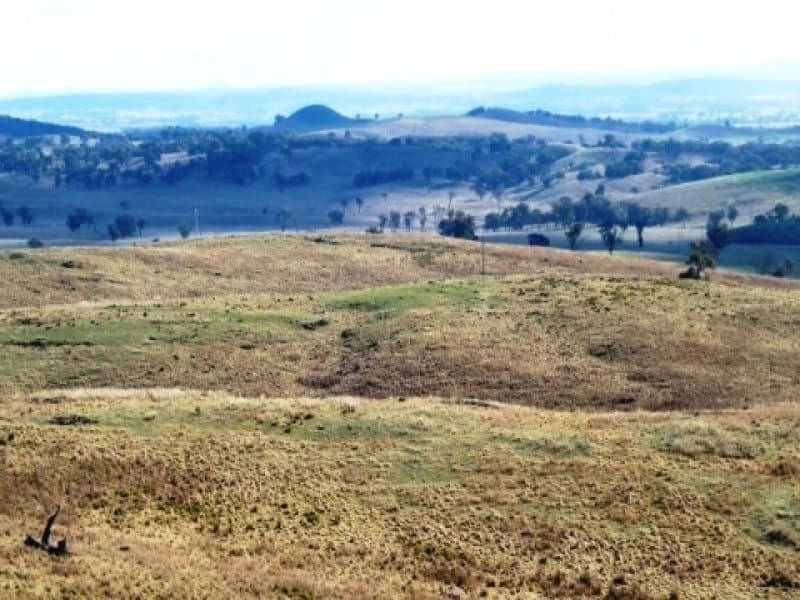 * 171 Shepherds Creek Rd,  Euchareena Via, ORANGE, NSW, Euchareena Via - Thumbnail 4