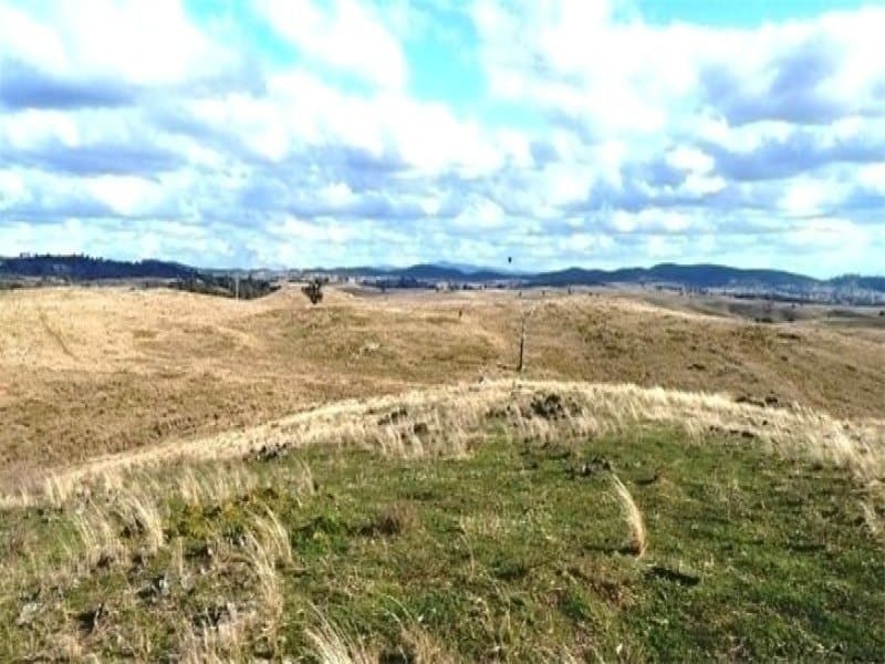 * 171 Shepherds Creek Rd,  Euchareena Via, ORANGE, NSW, Euchareena Via - Thumbnail 5