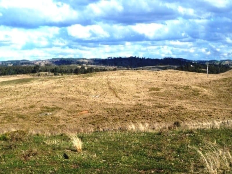 * 171 Shepherds Creek Rd,  Euchareena Via, ORANGE, NSW, Euchareena Via - Thumbnail 6
