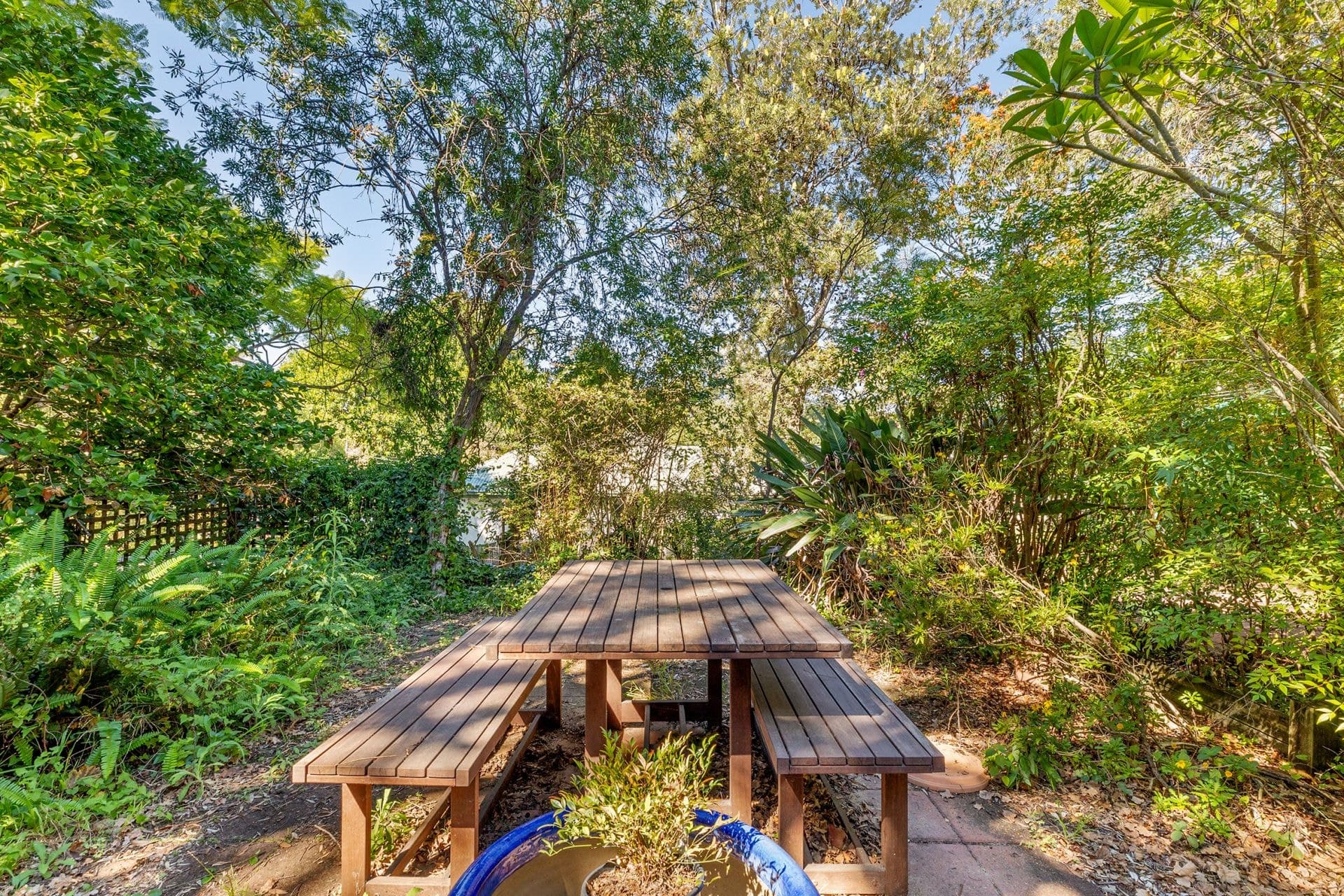 38 Maxim Street West Ryde NSW, West Ryde - Thumbnail 5