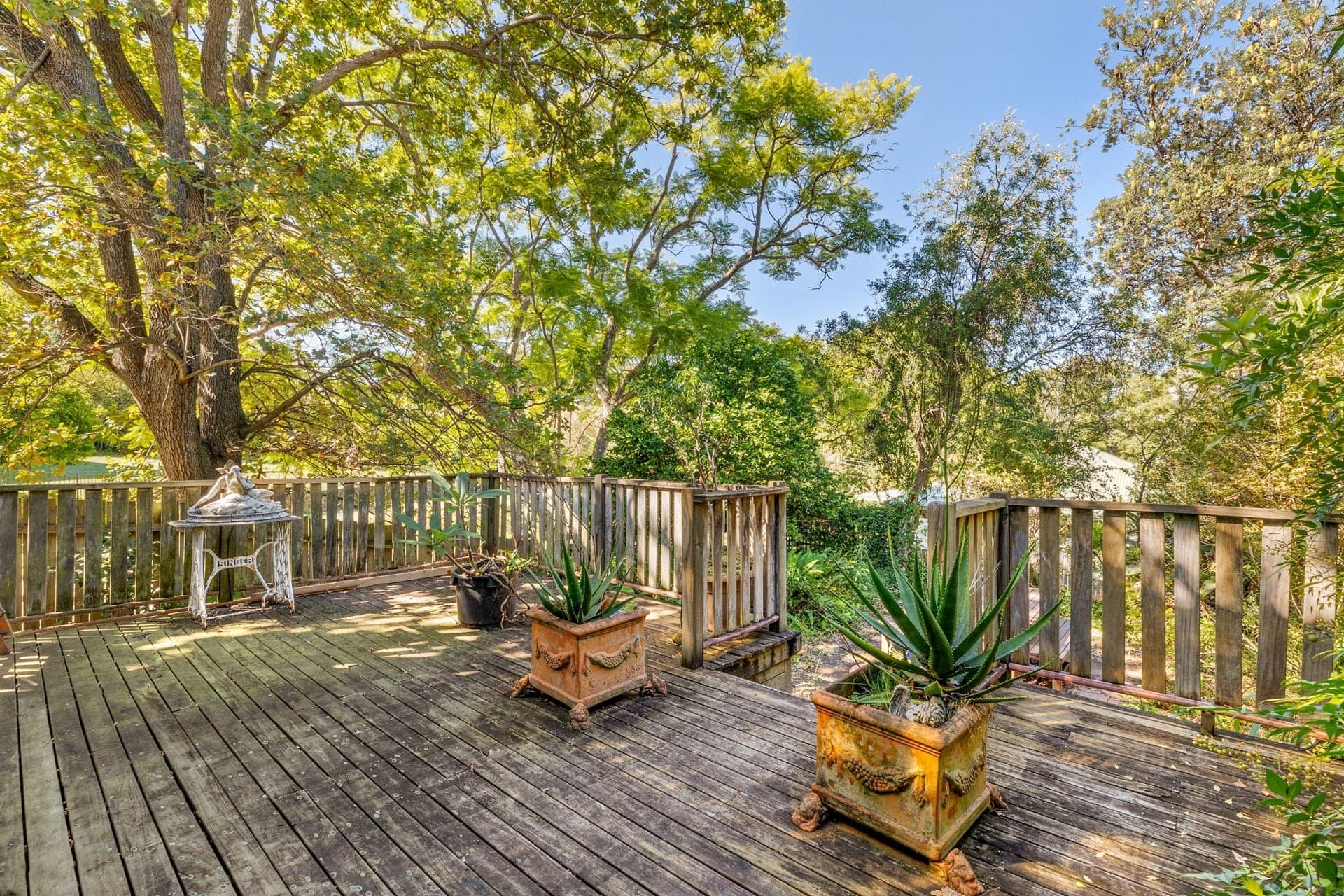 38 Maxim Street West Ryde NSW, West Ryde - Thumbnail 7