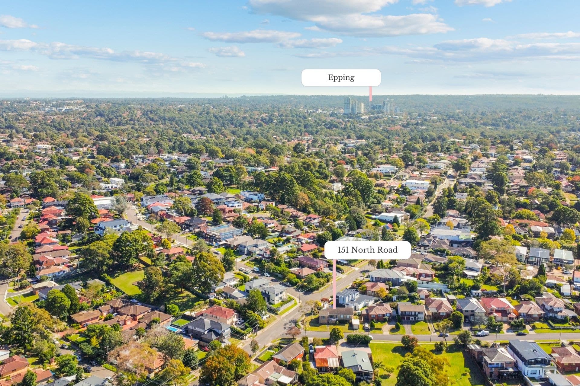 151 North Road Eastwood NSW, Eastwood - Thumbnail 7