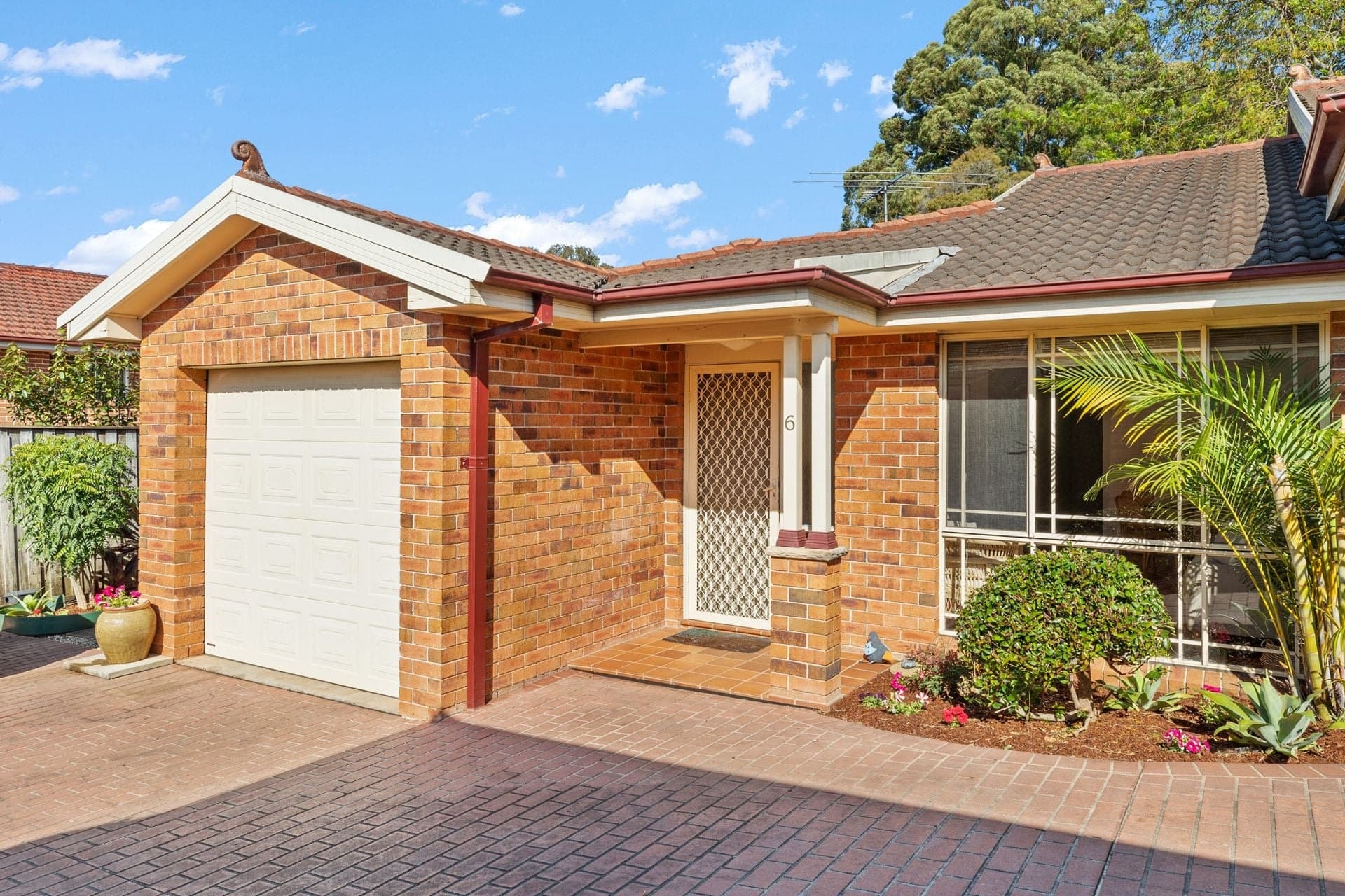 6/25 Wandoo Avenue Ryde NSW, Ryde - Image 1