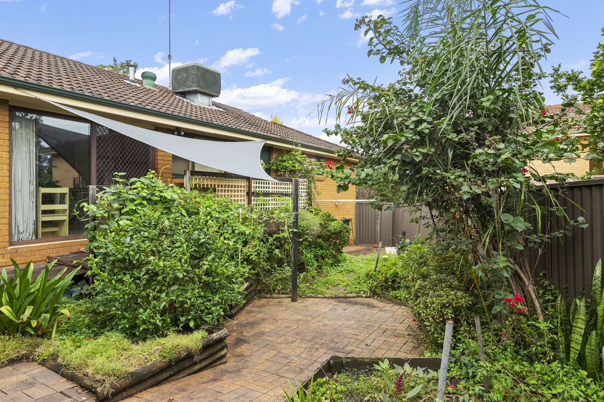 38 Jupiter Street Winston Hills NSW, Winston Hills - Thumbnail 6