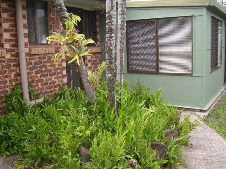 44 Baroona Street, Wurtulla QLD 4575, Wurtulla - Thumbnail 7