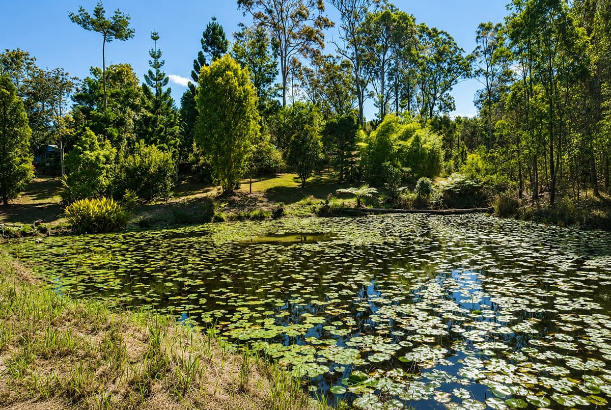 619 Bulldog Road, Bulldog NSW 2469, Bulldog - Image 1