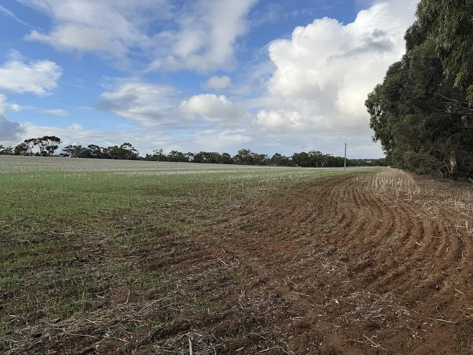 166 Tinpot Road, Woodchester - Thumbnail 3