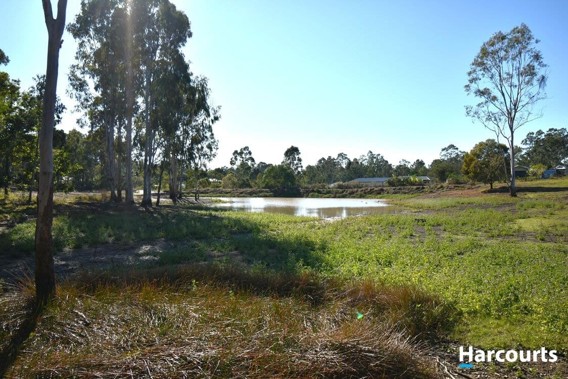 8 Chevonne Place, APPLE TREE CREEK, QLD 4660, Apple Tree Creek - Thumbnail 4