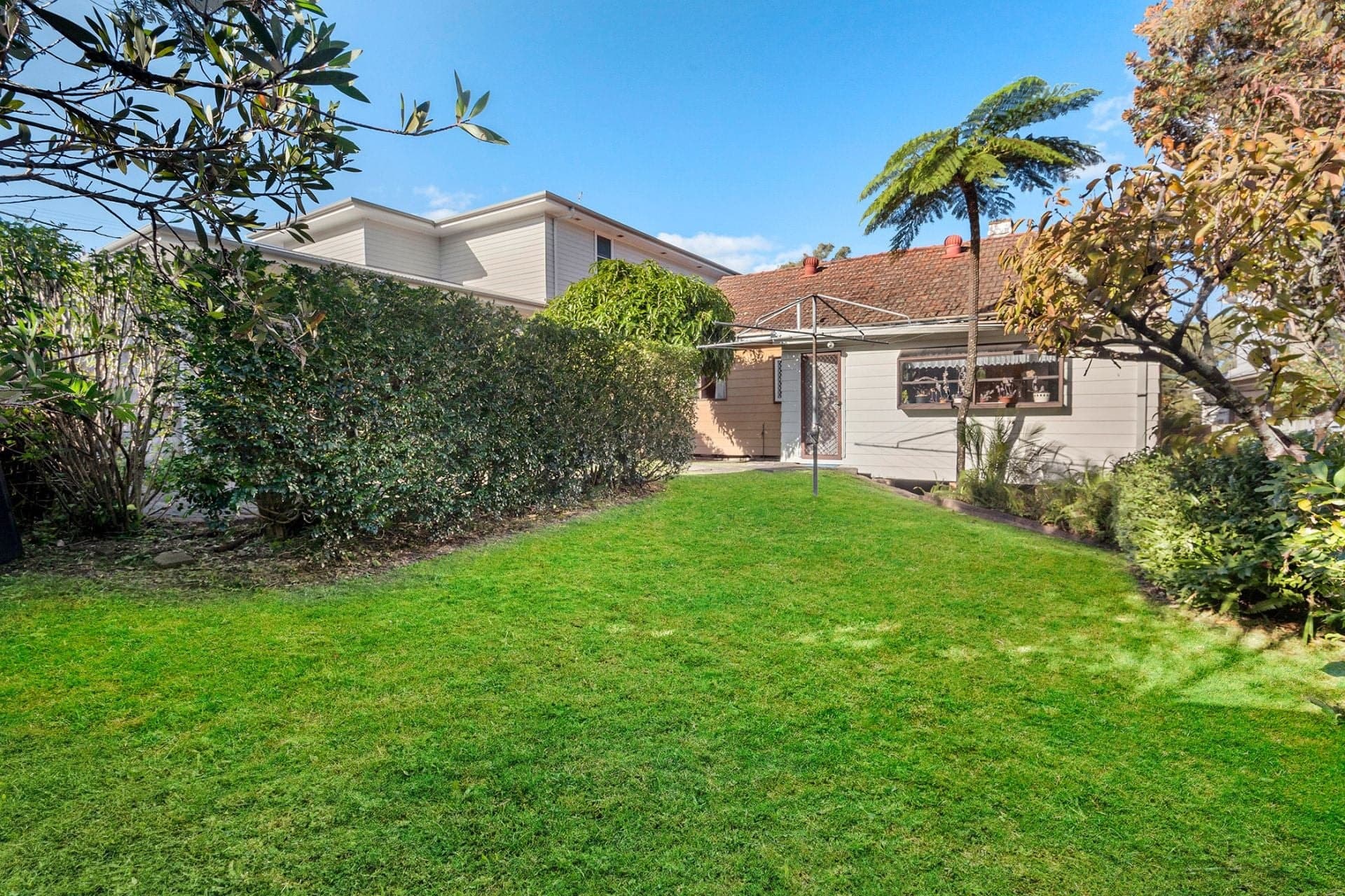8 Eileen Street, North Balgowlah, North Balgowlah - Thumbnail 3