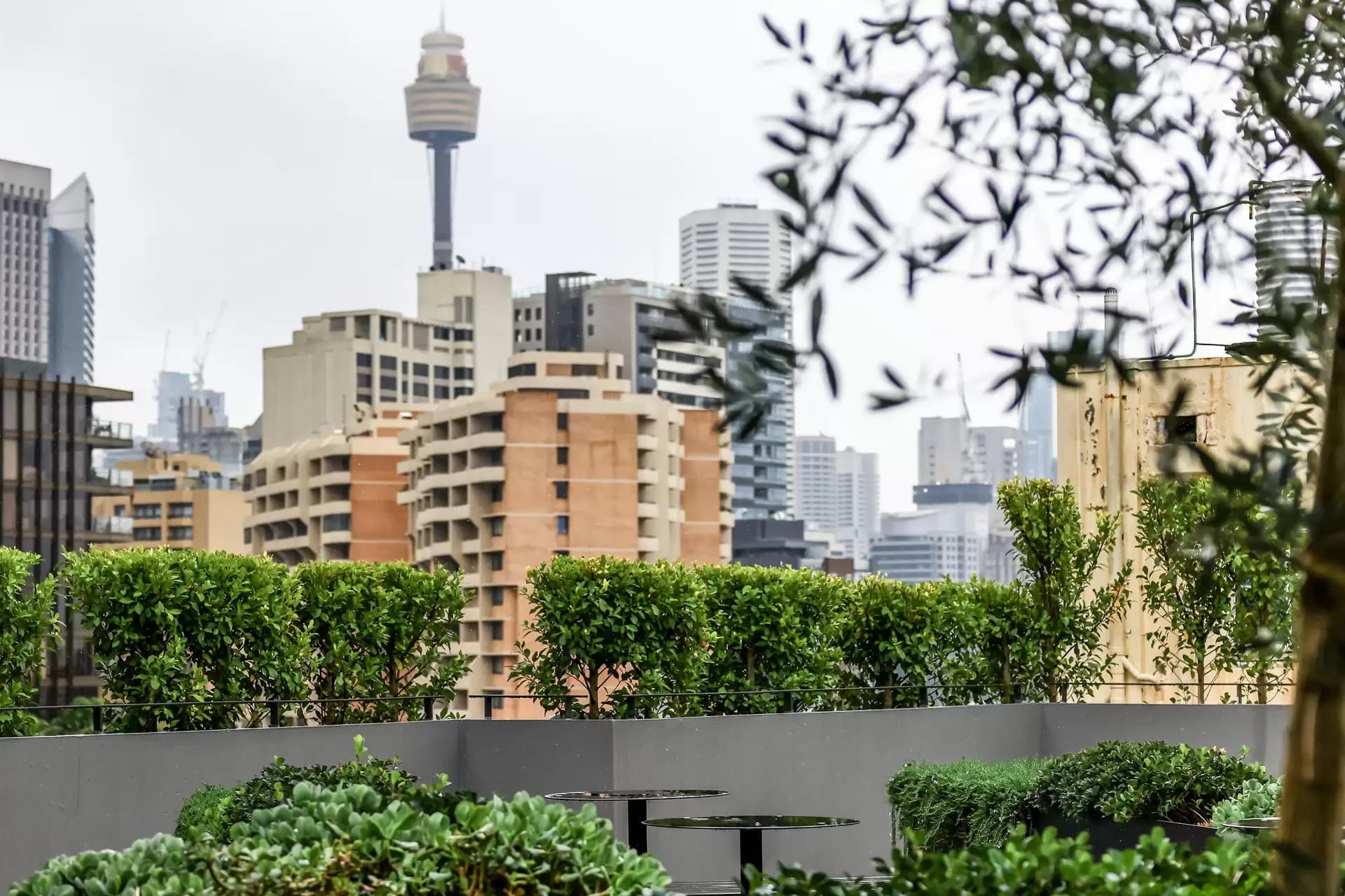 401/241-247 Crown Street, Darlinghurst - Thumbnail 3