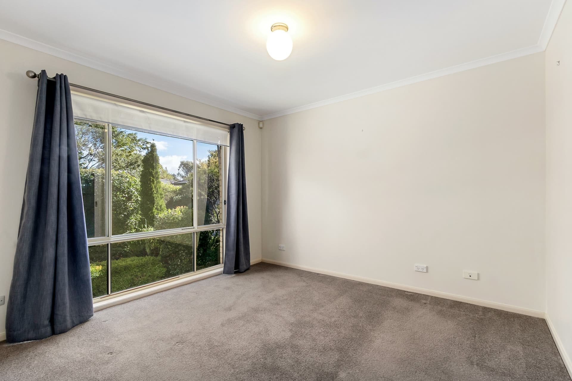 3/4 Sophia Street, Amaroo, Amaroo - Thumbnail 7