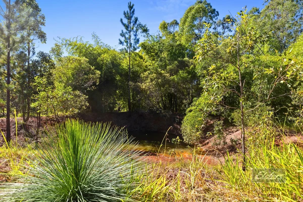164 Arborfive Road, Glenwood, QLD, 4570, Glenwood - Thumbnail 7