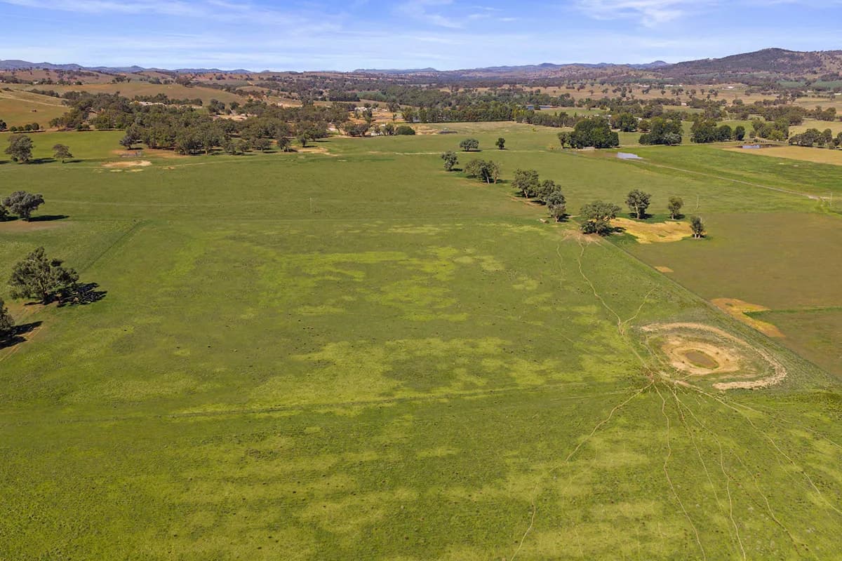 10-12 Florance Street, Cootamundra, NSW, 2590, Cootamundra - Thumbnail 2