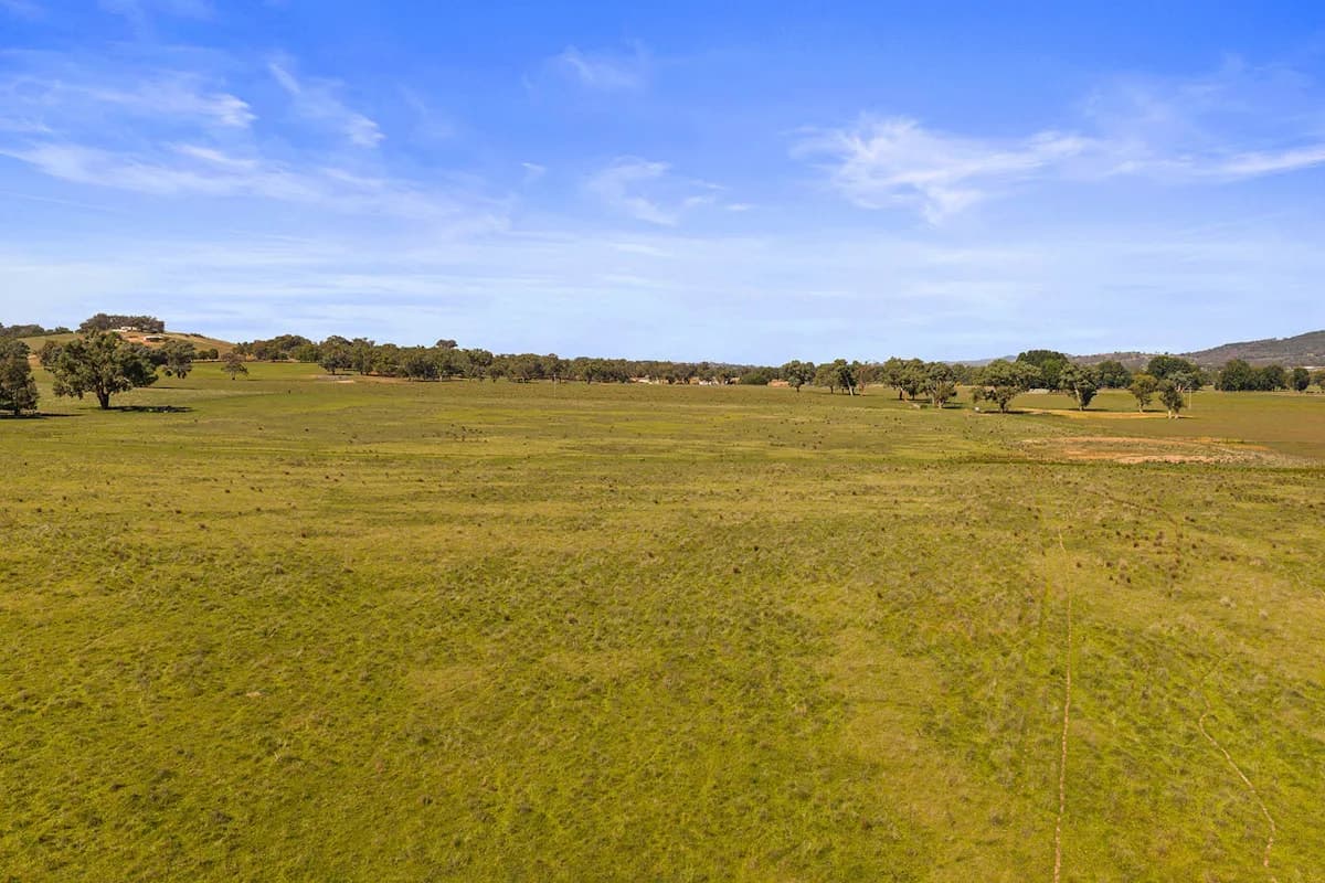 10-12 Florance Street, Cootamundra, NSW, 2590, Cootamundra - Thumbnail 4