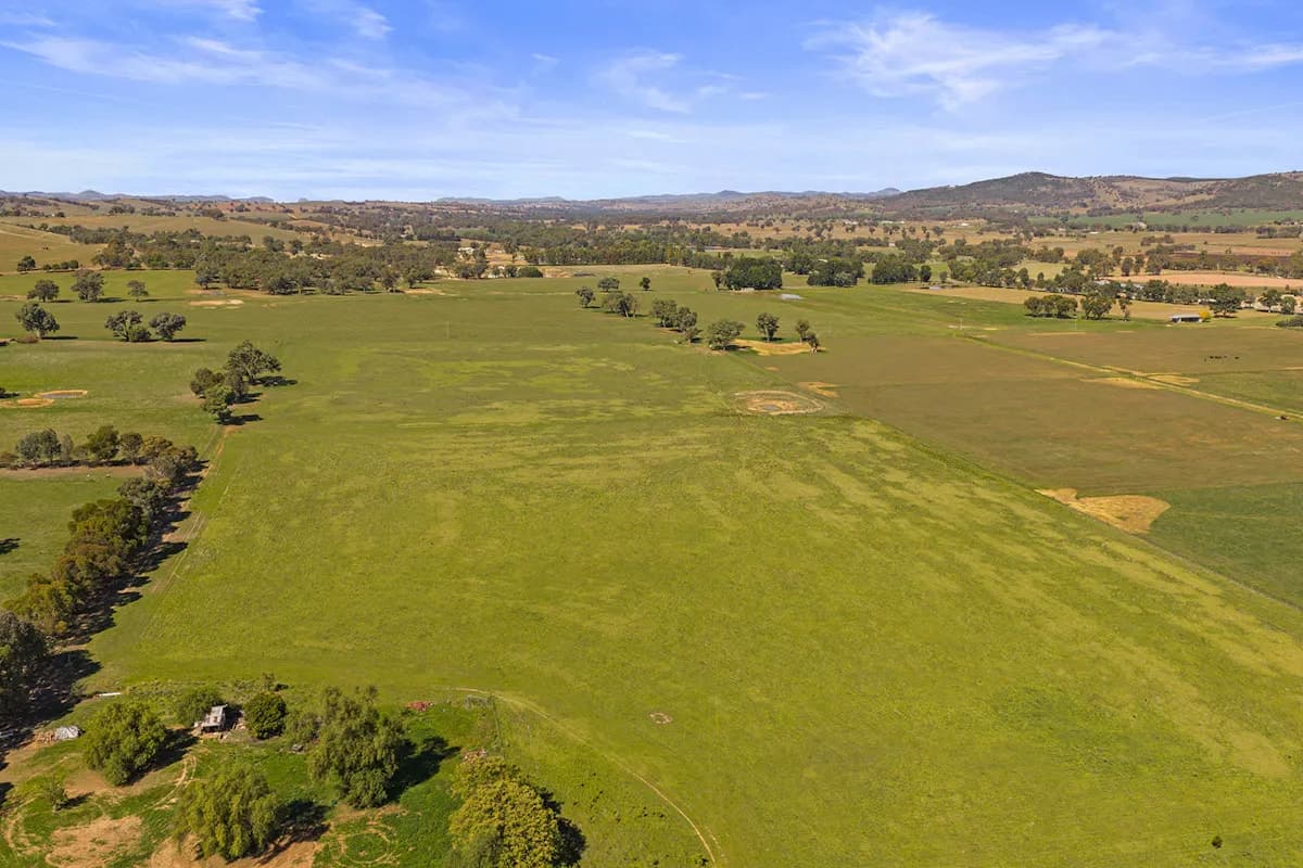 10-12 Florance Street, Cootamundra, NSW, 2590, Cootamundra - Thumbnail 5