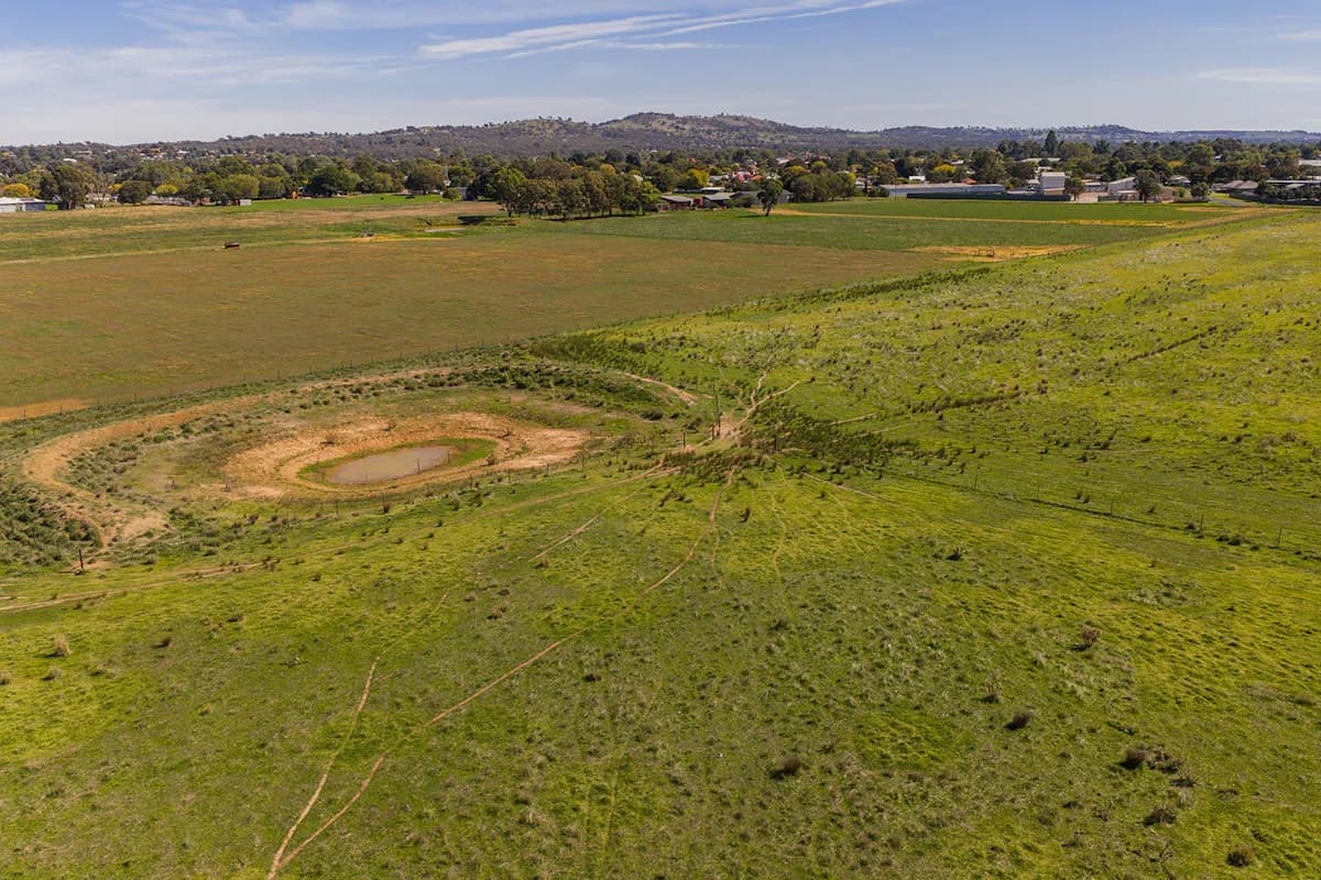 10-12 Florance Street, Cootamundra, NSW, 2590, Cootamundra - Thumbnail 6