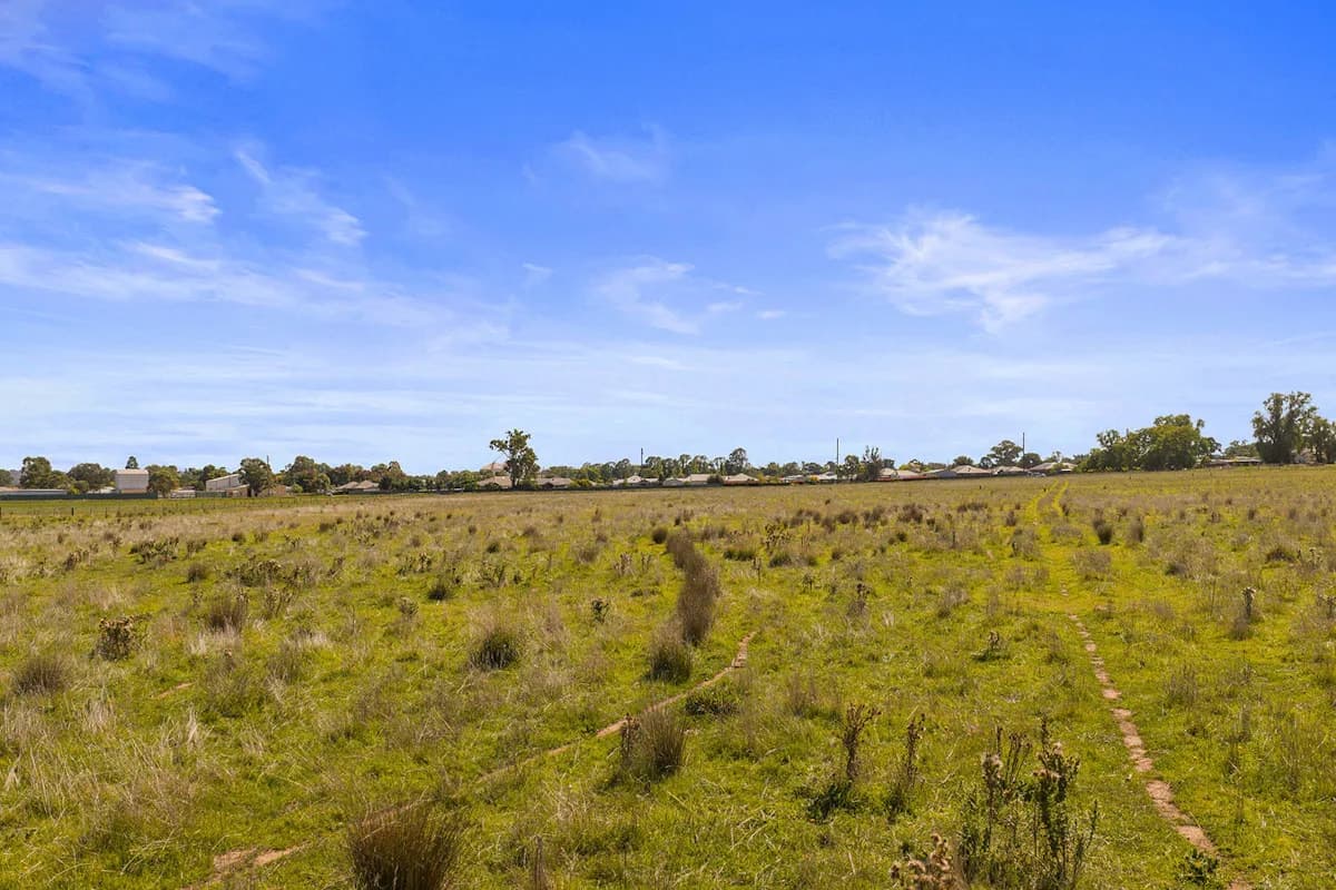 10-12 Florance Street, Cootamundra, NSW, 2590, Cootamundra - Thumbnail 7