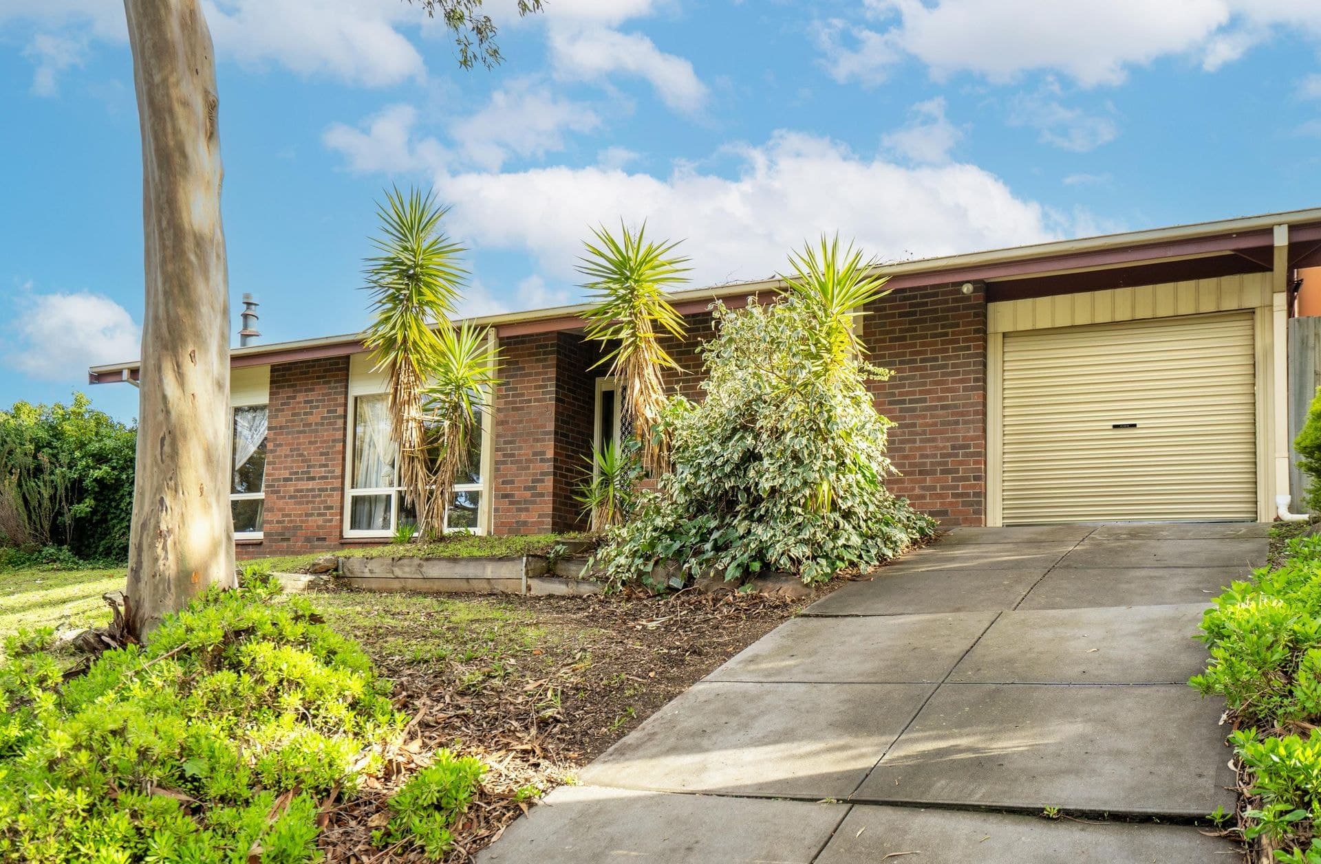 39 Timothy Road, Morphett Vale, SA, 5162, Morphett Vale - Image 1
