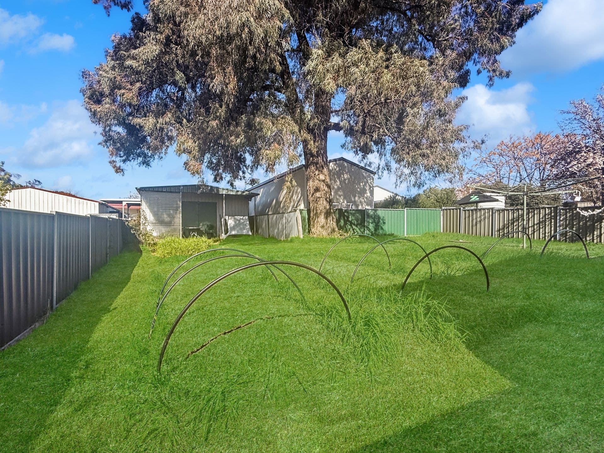 22 Jubilee Avenue Orange NSW, Orange - Thumbnail 7
