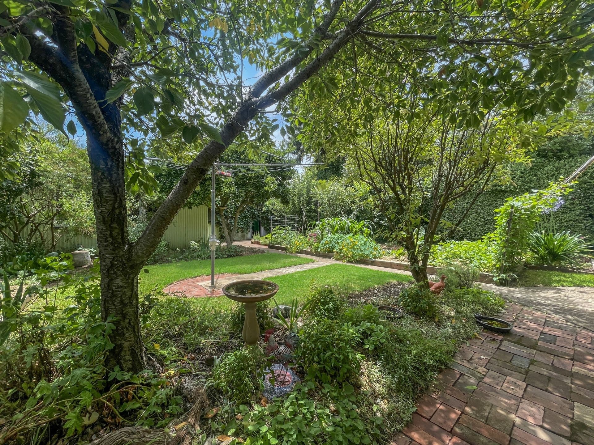 31 Dalton Street Orange NSW, Orange - Image 1