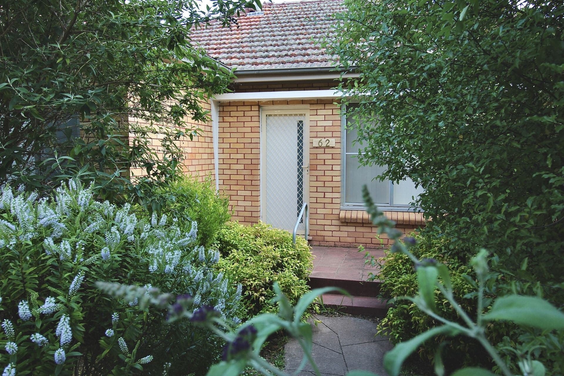 62 Casey Street Orange NSW, Orange - Image 1