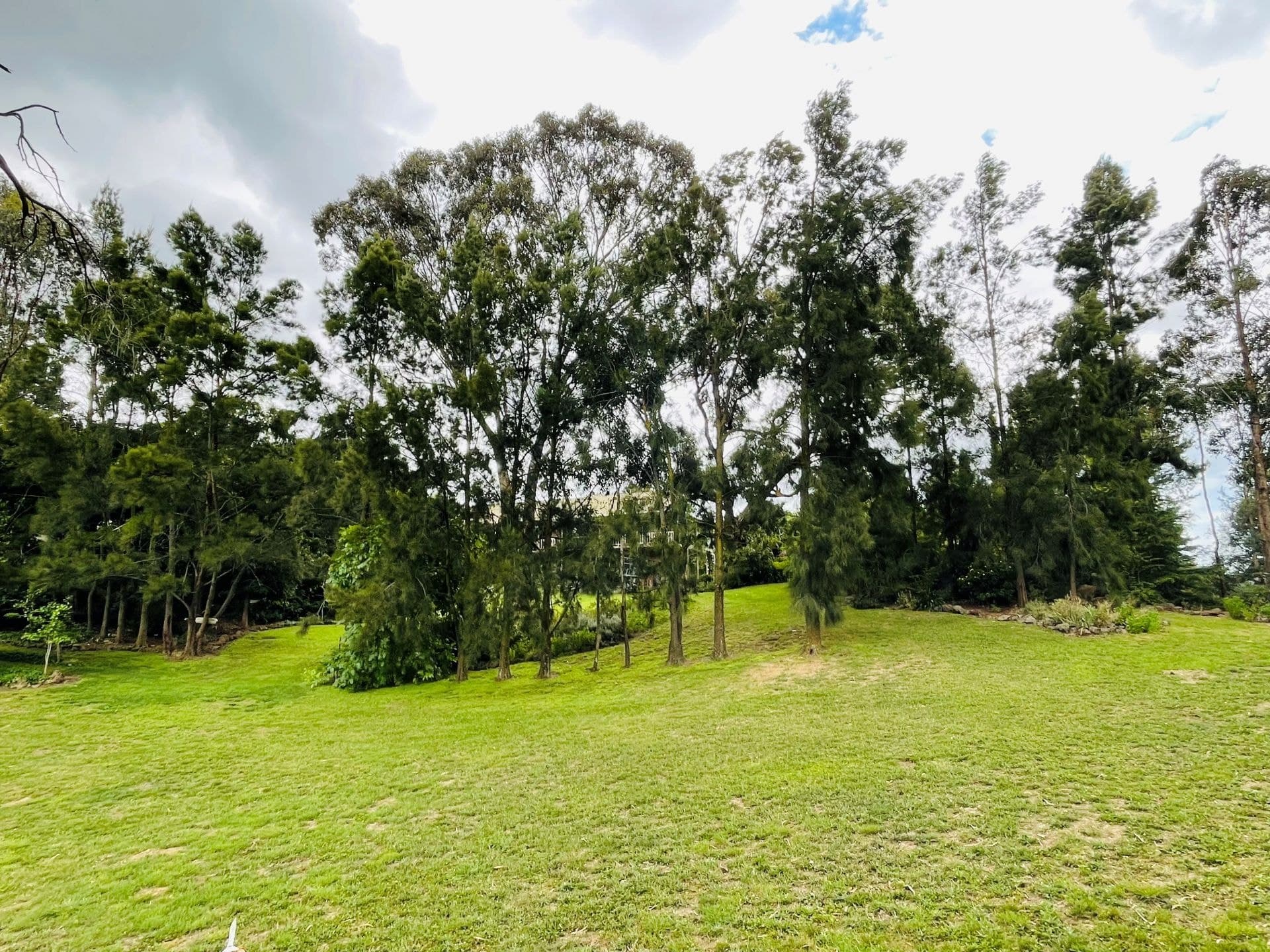 1857 Icely Road Orange NSW, Orange - Thumbnail 7