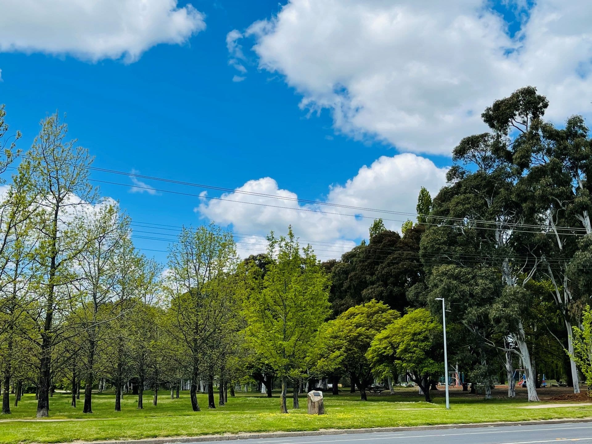 109 Woodward Street Orange NSW, Orange - Thumbnail 3