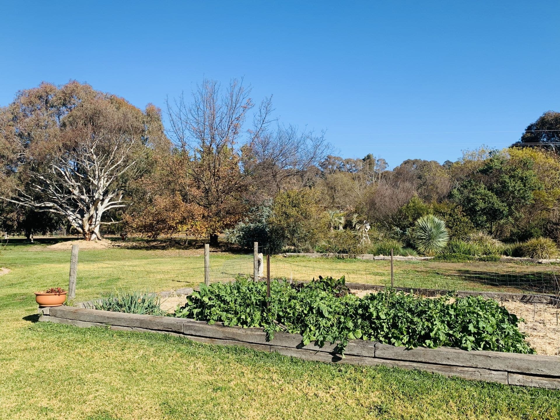 6 Don Peters Place Orange NSW, Orange - Thumbnail 7