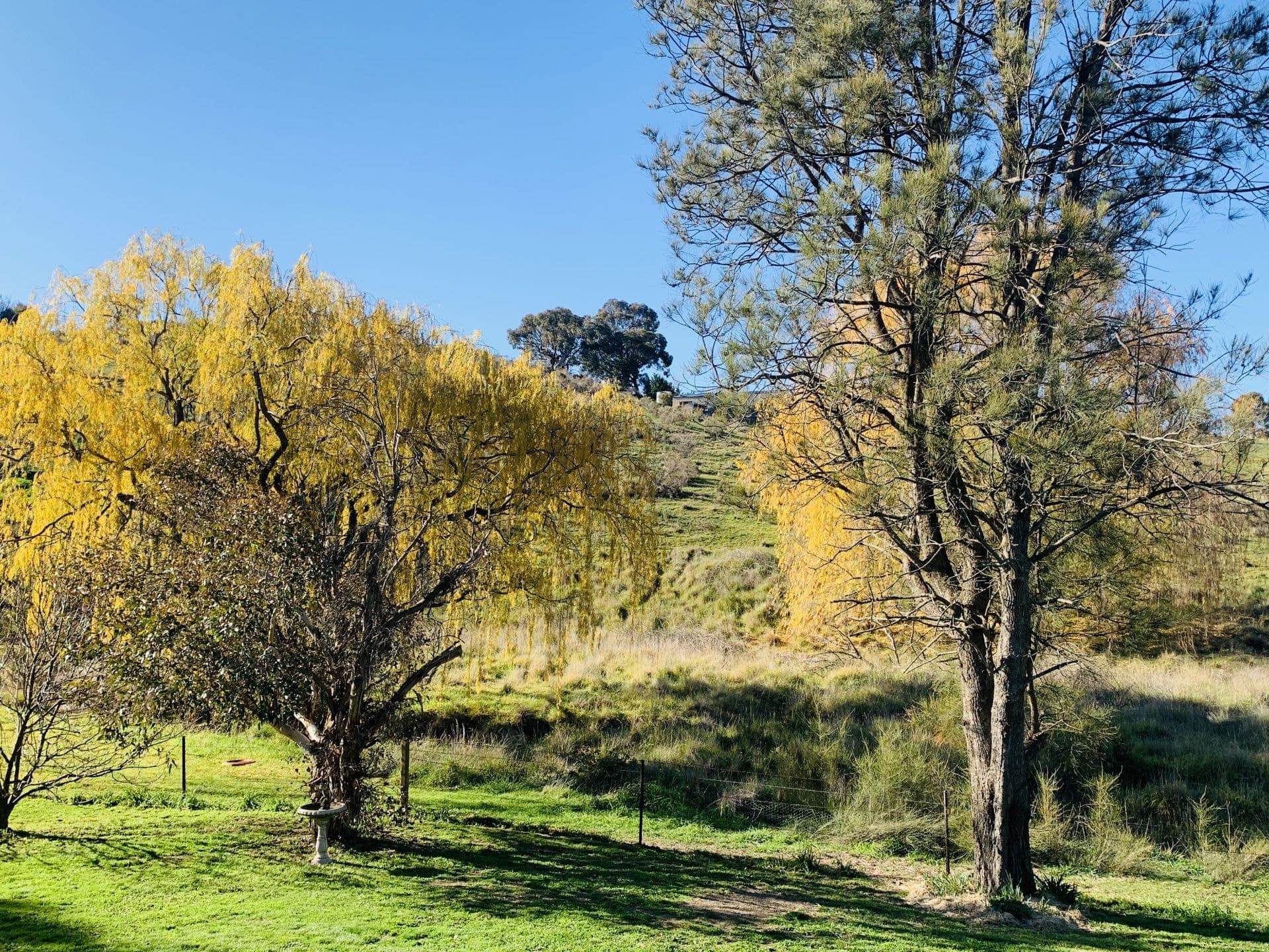 6 Don Peters Place Orange NSW, Orange - Thumbnail 8