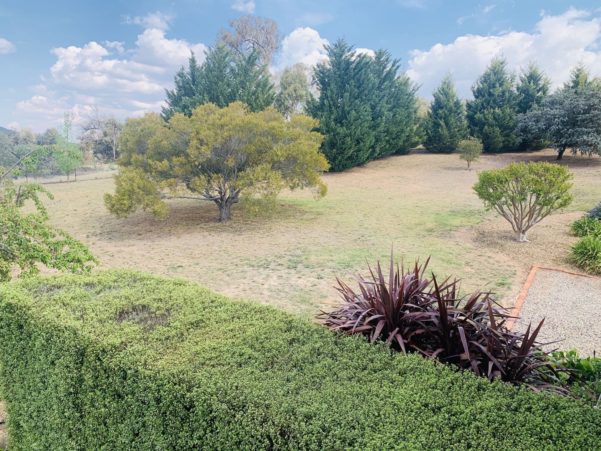 13 Brumbys Run Orange NSW, Orange - Thumbnail 7