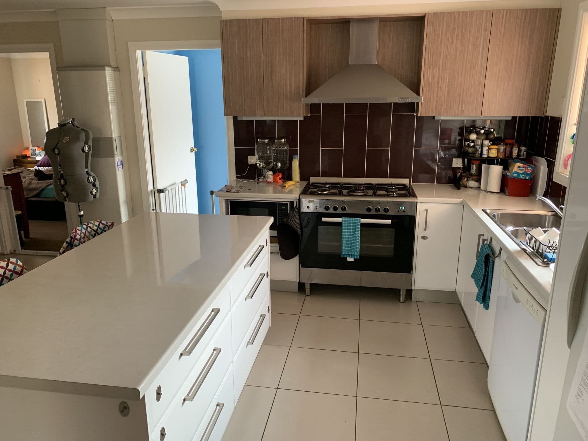 11 Rosedale Place Orange NSW, Orange - Thumbnail 4