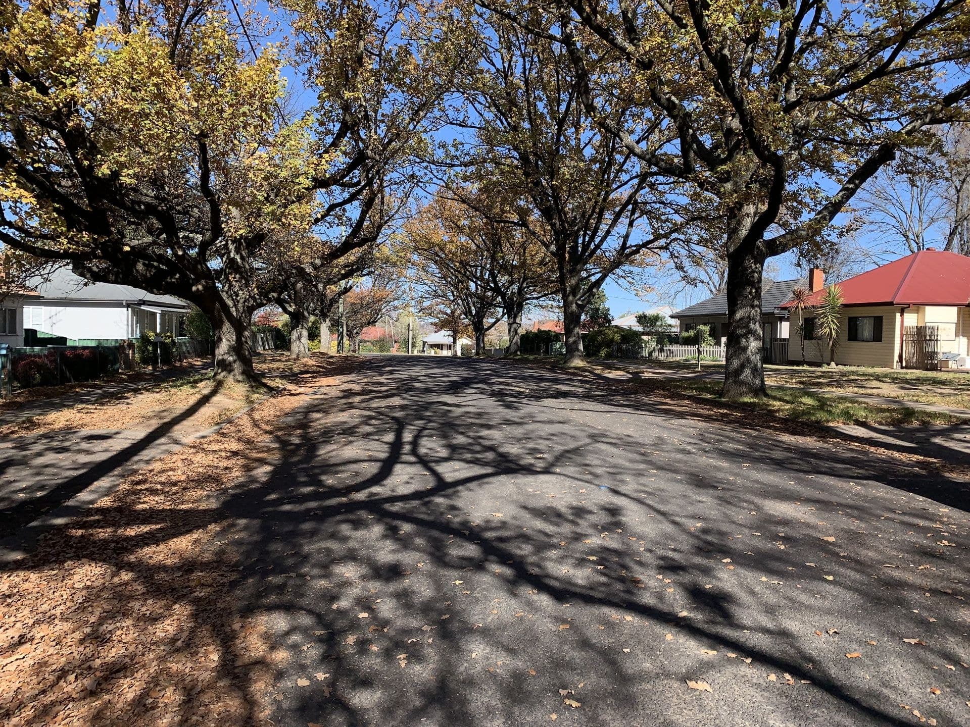 18 Fox Avenue Orange NSW, Orange - Thumbnail 2