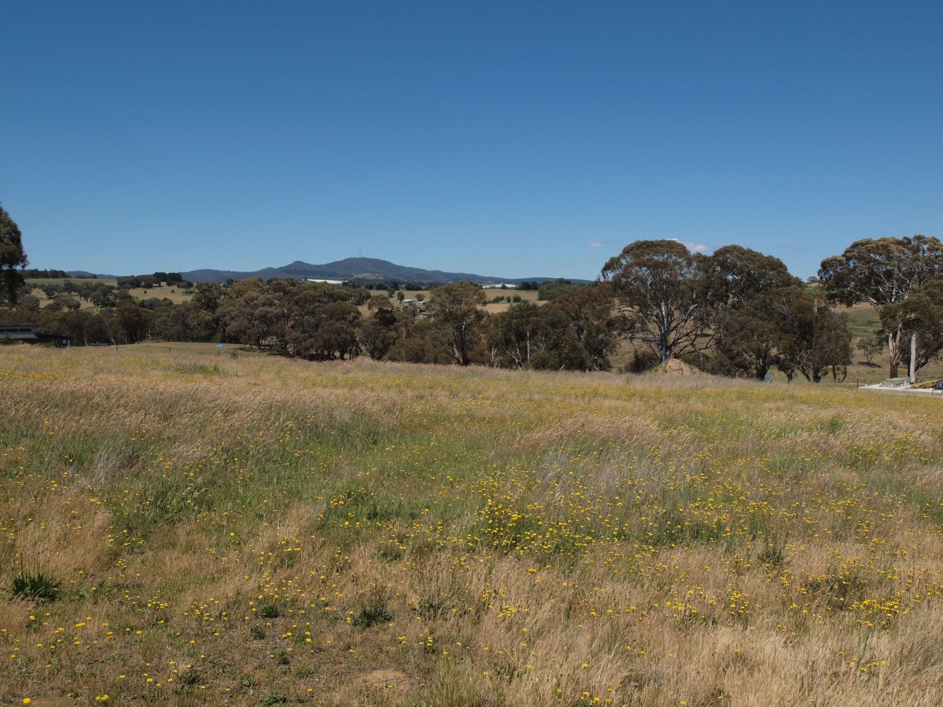 104 Dean Drive Orange NSW, Orange - Thumbnail 2