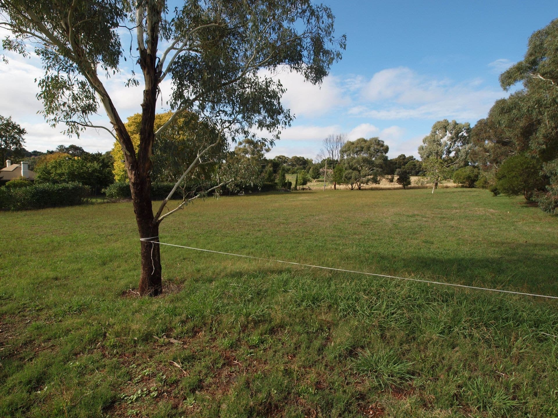 31 Centennial Crescent Orange NSW, Orange - Thumbnail 2