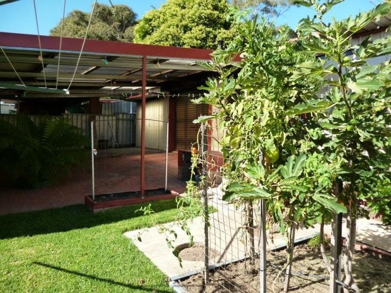 19 Cassey Crescent ORANGE NSW, Orange - Thumbnail 8