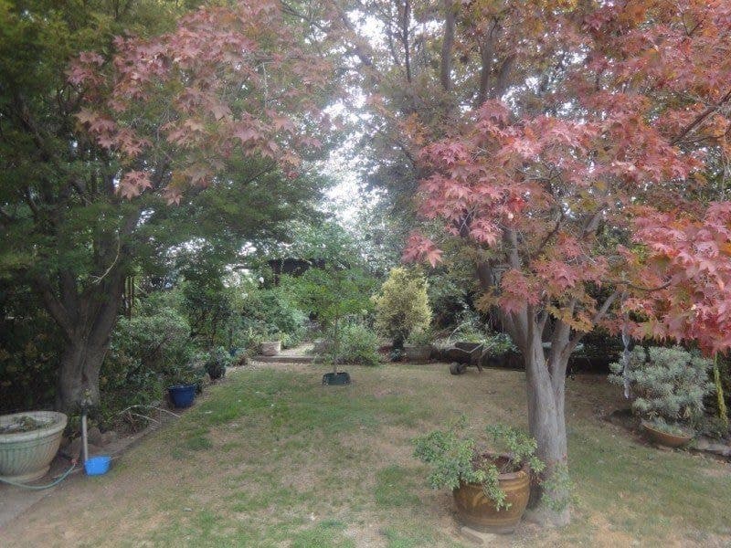 61 Glenroi Avenue ORANGE NSW, Orange - Thumbnail 4