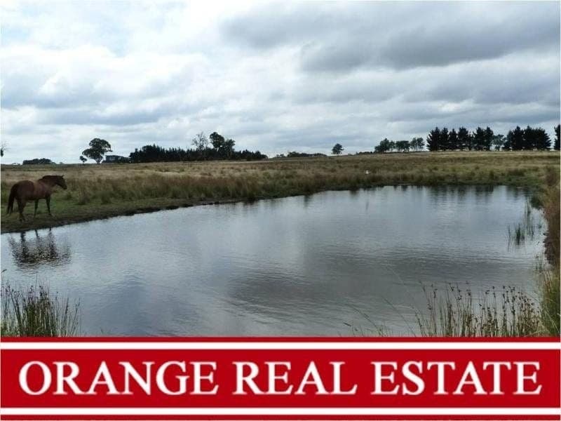 ORANGE NSW, Orange - Image 1