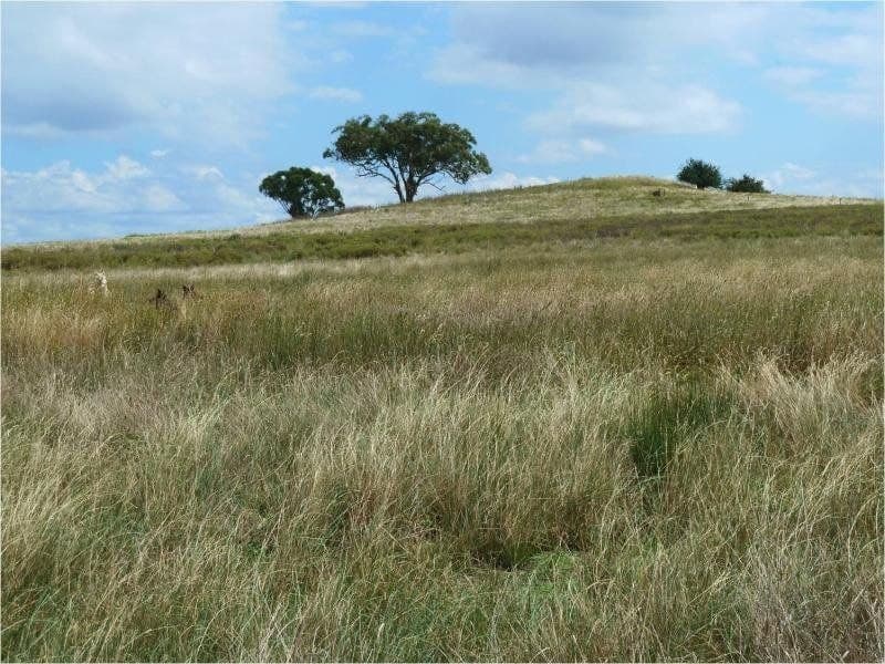 ORANGE NSW, Orange - Thumbnail 6