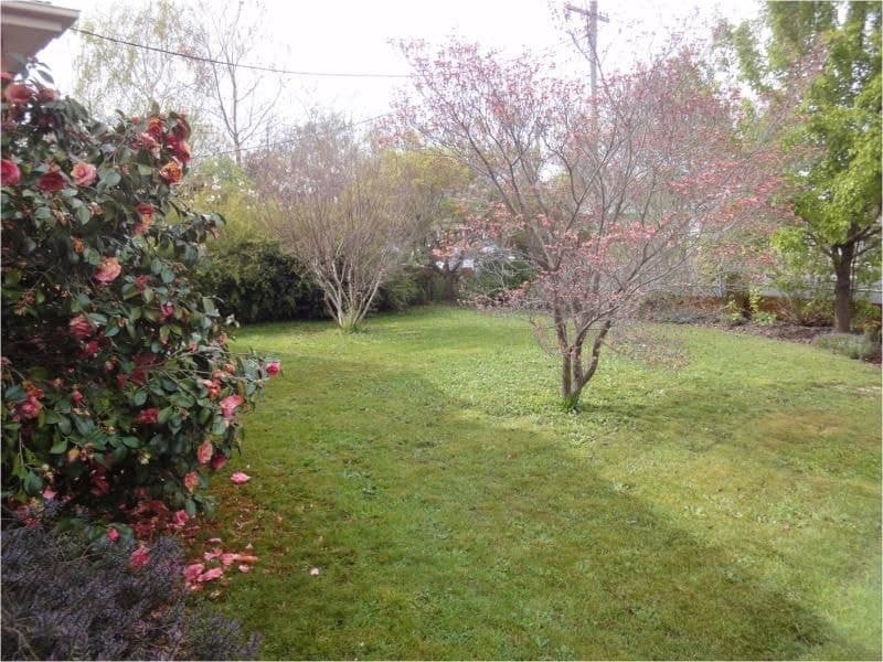 11 NationalnAve ORANGE NSW, 11 Nationalnave Orange - Thumbnail 2