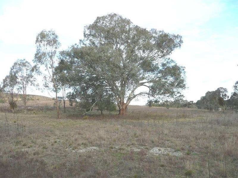 STUART TOWN NSW, Stuart Town - Thumbnail 7