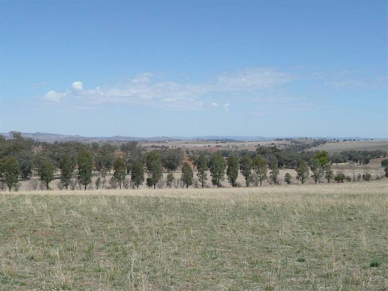 CARGO NSW, Cargo - Thumbnail 4