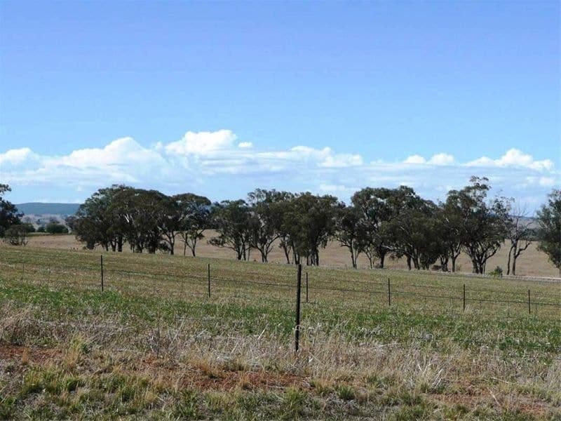 CARGO NSW, Cargo - Thumbnail 6