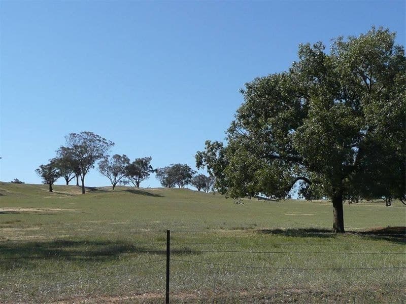 ORANGE NSW, Orange - Thumbnail 2