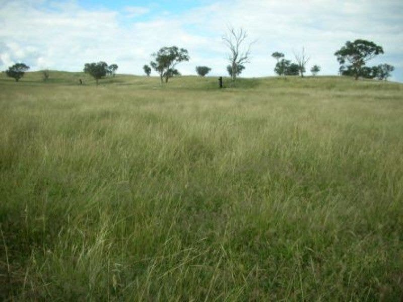 ORANGE NSW, Orange - Thumbnail 3