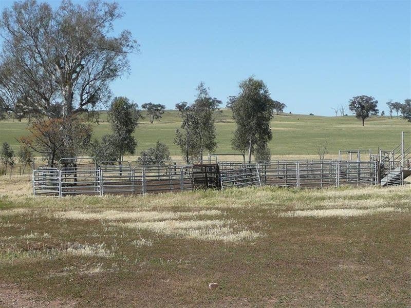 ORANGE NSW, Orange - Thumbnail 4
