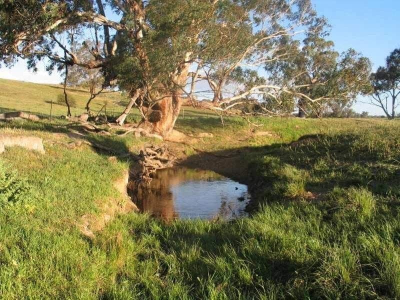 ORANGE NSW, Orange - Image 1