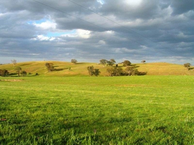 ORANGE NSW, Orange - Thumbnail 2