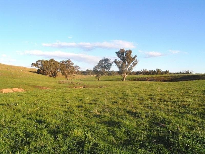 ORANGE NSW, Orange - Thumbnail 3