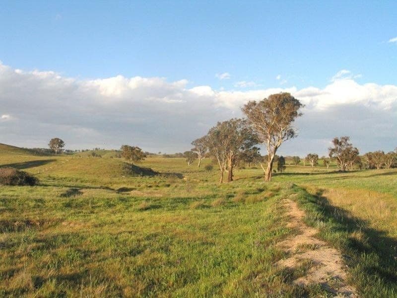 ORANGE NSW, Orange - Thumbnail 4